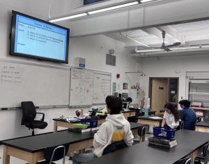 Elective Spotlight: Human Anatomy and Physiology