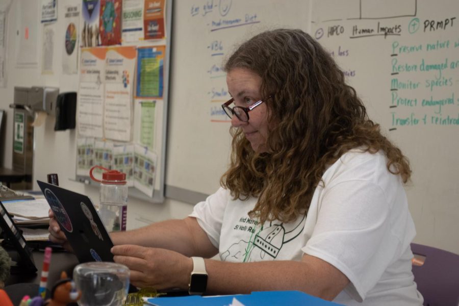 Looking up from her laptop to smile at a student, Palo Alto High School science teacher Elizabeth Brimhall has faced a rough struggle with her mental health over the past few years. According to Brimhall, this experience has taught her to empathize more strongly with others going through a similar situation. “When my thoughts are going really quickly, I have to remember to slow down and take time to listen to my students,” Brimhall said. “Before I experienced it [mental health issues] myself, I had so many friends and family members that had struggled with mental health that I think I already had empathy for students, but now having experienced [it] myself even more so.” (Photo: Kristine Lin)