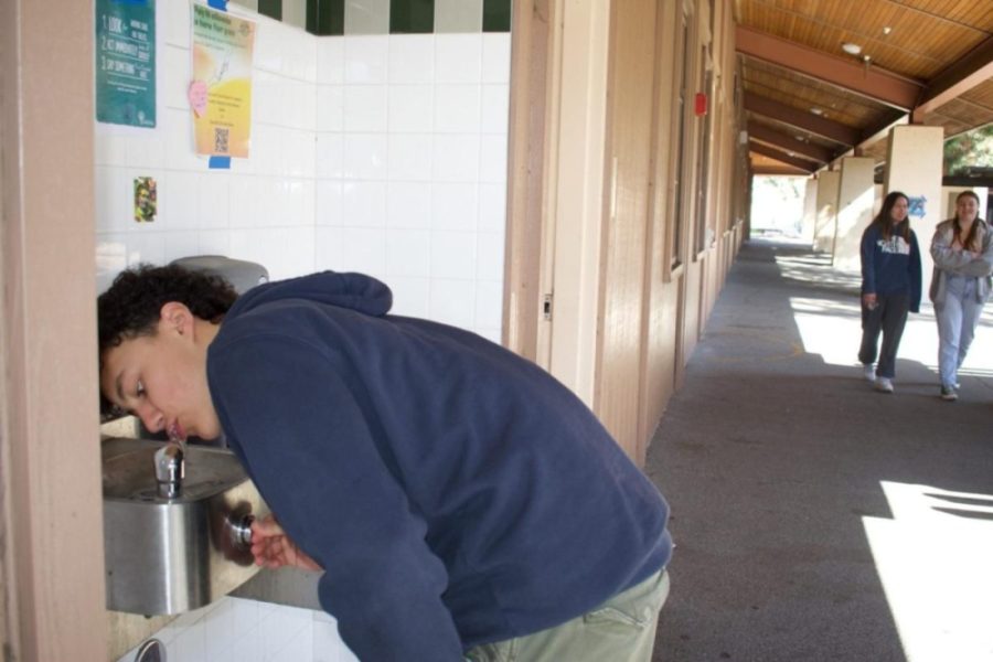Sophomore Jacob Kinsky drinks water from one of Palo Alto High Schools water fountains. Kinsky said he is not concerned about the quality of Palys water. “I get thirsty a lot and I like to drink water but I dont really know very much about lead poisoning and how that problem works, Kinsky said.  “I don’t really notice anything and I feel like the water is perfectly fine as is. According to previous testing from 2018, Palys lead levels have all been reported to be under five ppb.