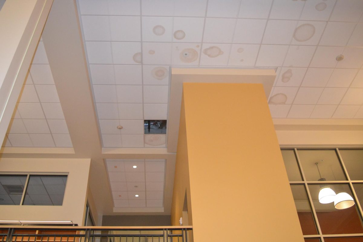 Circles of water leak through the Palo Alto High schools library ceiling. With heavier rainfall recently, flaws in the librarys infrastructure are becoming more apparent and the librarians are requesting for reconstruction of the roof. According to Assistant Librarian Deborah Henry, the water damage began in 2019 when the library opened, and it has been an ongoing problem since. Its imperative that we get the roof fixed, Henry said. It should have been fixed when they remodeled this building.”
