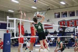Vikings volleyball boys outplayed by Saratoga Falcons