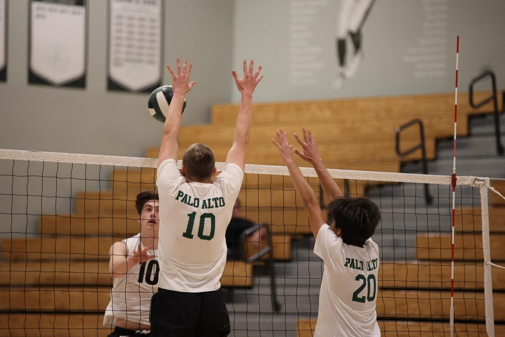 Senior and team captain Cal Currier and junior outside hitter Aditya Romfh reach up to block Firebird junior hitter Eli Geddes. The Palo Alto High School Vikings were swept by the Fremont Firebirds, 0-3, Wednesday night at home. According to senior setter Lorenzo Lisi, the Vikings strengthened their team bonds through this game and will be able to apply their newfound knowledge to future practices and games. Our team really banded together throughout this very difficult game, Lisi said. Were gonna be able to have productive practices after this game to really improve on our hits when theyre off of the net. I can work on my sets, making sure that I can get them in the right spot even if Im in an awkward location on the court. (Photo: Evan Chien)
