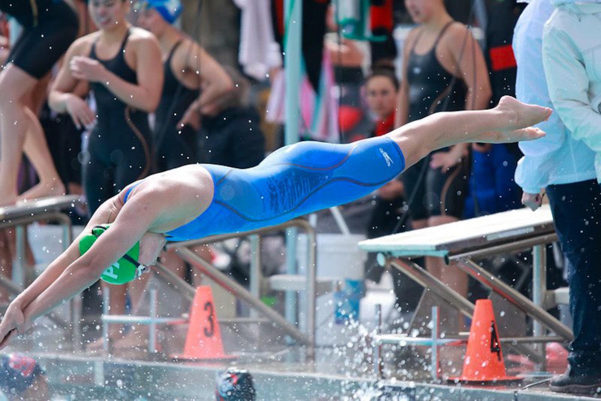 Llew+Ladomirak+dives+into+the+pool+for+her+Central+Coast+Section+freestyle+race+on+May+4.+Ladomirak%2C+a+junior+at+Palo+Alto+High+School%2C+recently+committed+to+New+York+University+and+competed+at+this+years+CCS.+I+won+CCS+individually+in+the+200+meter+freestyle%2C+Ladomirak+said.+I+was+so+happy+and+proud+of+myself+because+last+year+I+got+4th%2C+so+I+really+improved+in+that+race.+I+was+super+nervous+for+CCS+but+we+had+such+a+fun+team+this+year+that+it+ended+up+being+an+awesome+meet.