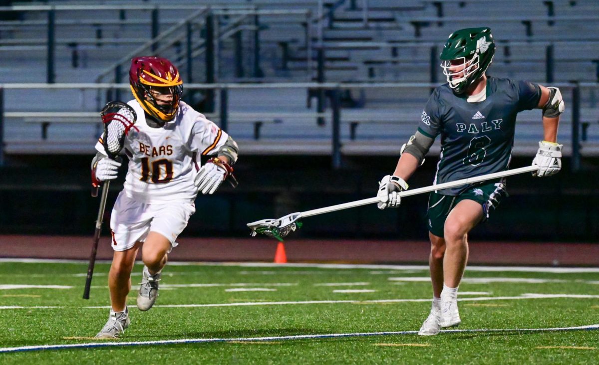 Viking junior defender Max Newman pokes at Bear sophomore Attacker Carey Wolf in the Vikings second match against the Menlo Atherton High School Bears. According to Viking head coach Ed Hattler, the Vikings are working on building up a love for the sport. Were trying to build the culture, were trying to build the level of play, Hattler said. Were trying to get younger guys in and excited about lacrosse.