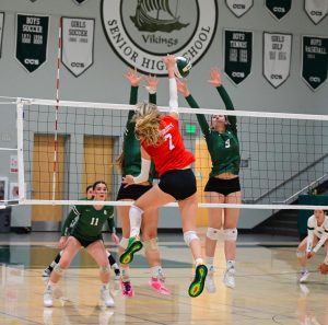Girls volleyball sweeps Devils