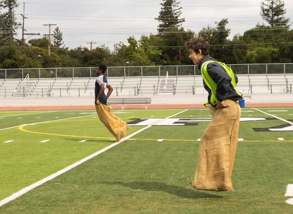 Junior Hadrien de Martel hops in a potato sack, racing the freshmen at the Spirit Week rally relay competition during lunch on Wednesday at Palo Alto High School's Earl Hansen Viking Stadium. According to freshman Maya Ratliff, dressing up for Spirit Week brightens up her day. "It just makes me a better person to see all these people dress up because I feel you're so cheerful and happy all the time and it's really positive," Ratliff said.