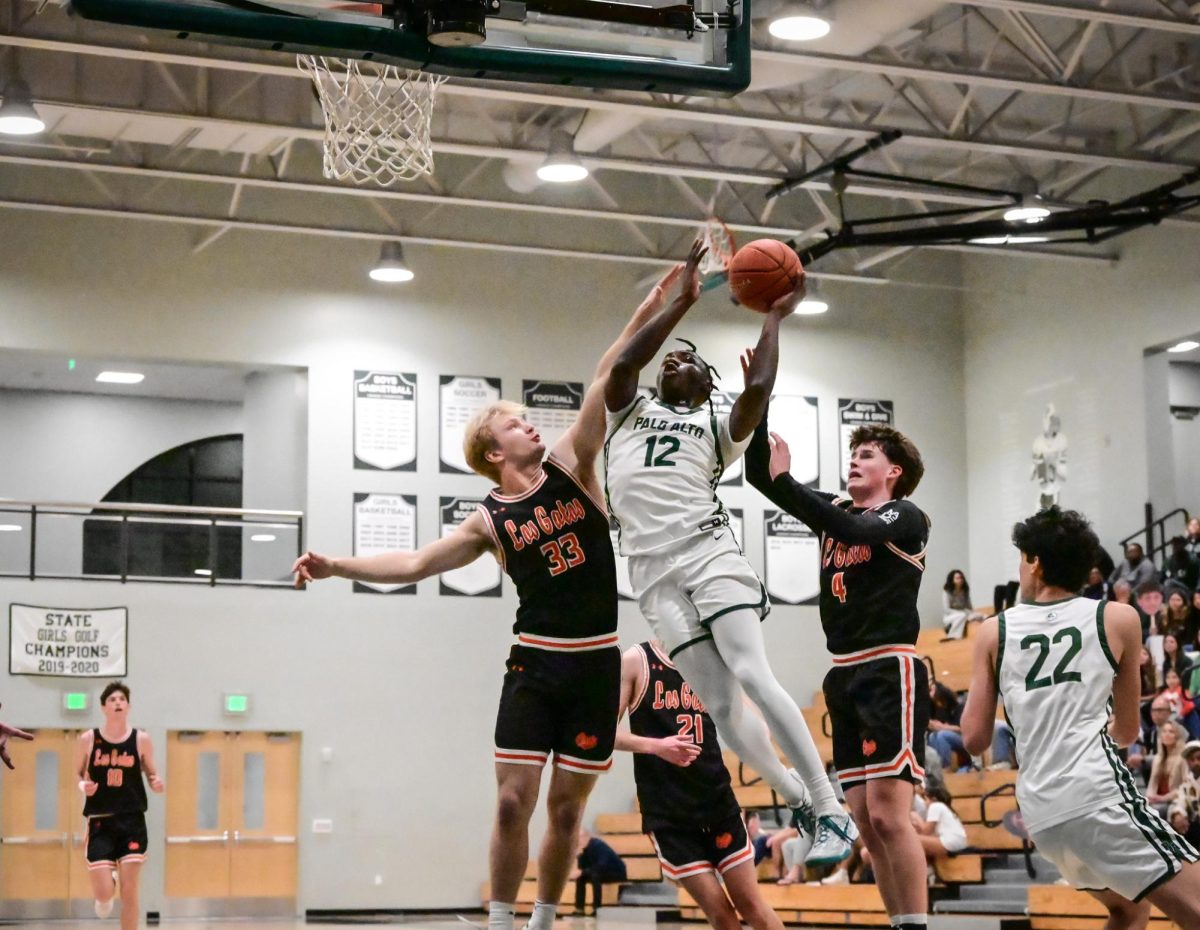 Viking Senior Jorell Clark scores a layup over Wildcat defenders in the second quarter of Friday's Senior home game against the Los Gatos Wildcats. According to Clark, the Vikings still keep their head high for the post-season. "We hope to still win a league title, and we hope to win CCS and have another deep state," Clark said. 