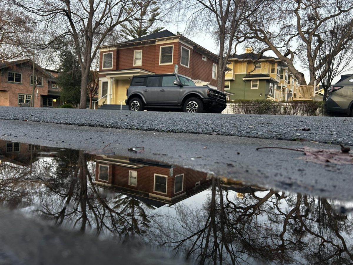 Puddles scatter across Channing Avenue in Palo Alto this morning, hinting at a larger storm expected later this week. According to Jerry Berkson, Palo Alto High School assistant principal, the school administration is being cautious of leakage that might be problematic. "For those of you don't want to have wet shoes and socks all day, wear your rainboots," Berkson said.