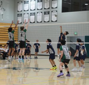 Boys volleyball sweep Trojans