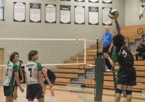 Palo Alto volleyball defeats Knights