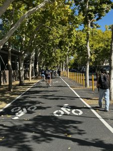 New bike lanes open on Paly Road