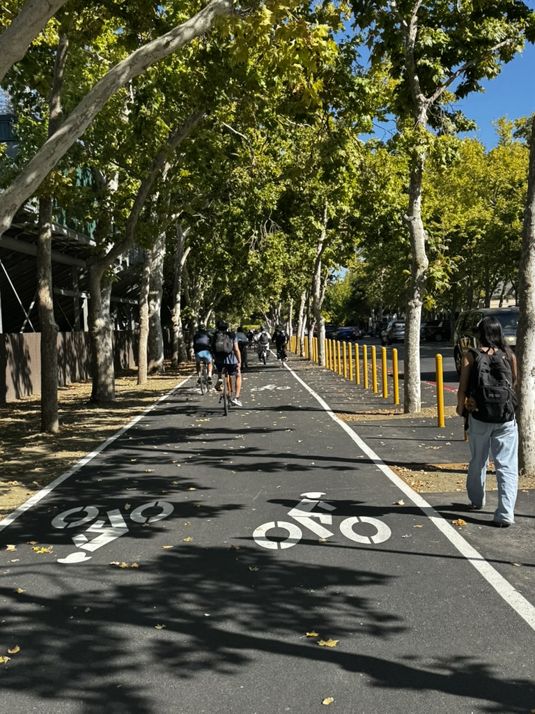 Students bike along the newly paved lanes on Paly Road on campus on Tuesday afternoon. Senior Merise Boda, who often runs with her cross-country team, said the smoother surface has been a major improvement. “It’s so much nicer on our knees and joints,” Boda said, referring to the marked bike lane adjacent to the roadway.