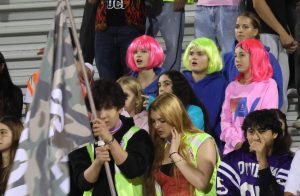 Juniors sweep Spirit Week's Night Rally